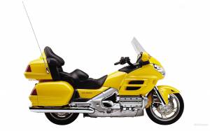     Gold Wing