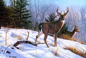 животные, зима, снег, олени, ель, живопись
