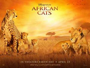     African Cats, 