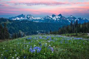     Mount Rainier, Fading Desire, Washington, HDR, USA