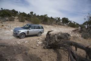     Land Rover, Range Rover, 2013