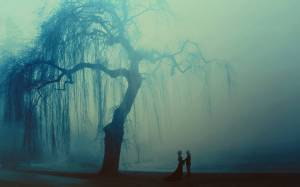 Пара.дерево, море, туман, сумерки