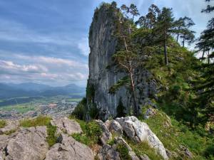 природа, деревья, пейзаж, небо, горы, Austria, скала