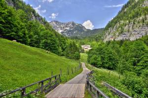 пейзаж, Прекрасная долина в Зальцбург, Австрия, горы, дорога, холмы, деревья